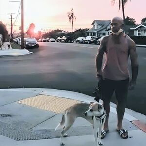 Meet your Posher, Matthew